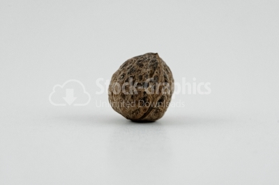 Nuts: Walnut - Stock Image