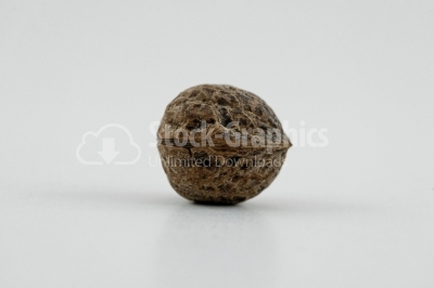 Nuts: Walnut - Stock Image
