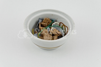 Porcelain dish photo isolated on white