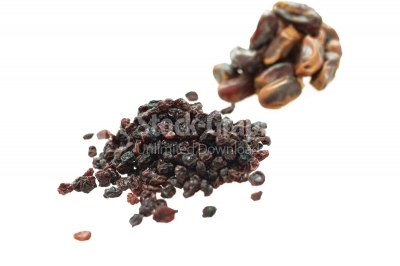 Raisins and dates isolated on white