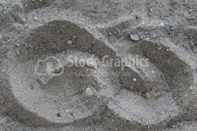 Sand dunes texture