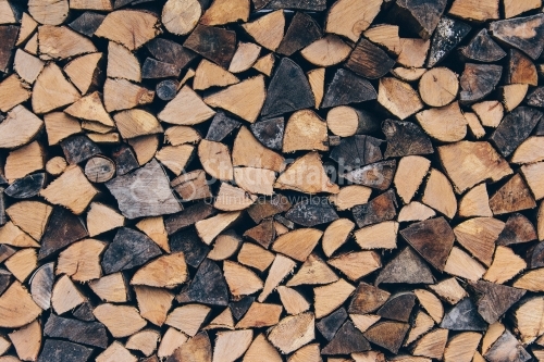 Stacked firewood