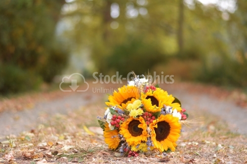 Sunflower bouquet on a autumn day