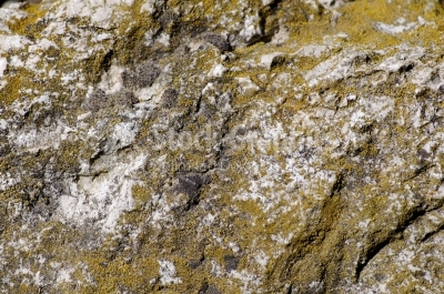Texture rocks