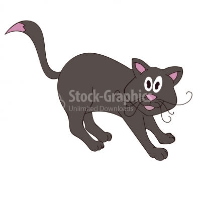 Black Cat - Illustration