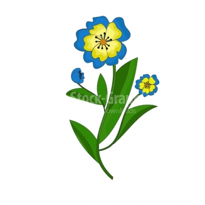 Branch of blue forget-me-not flowers isolated 