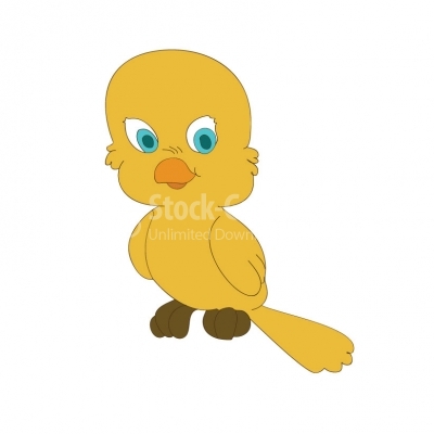 Canary bird - Illustration