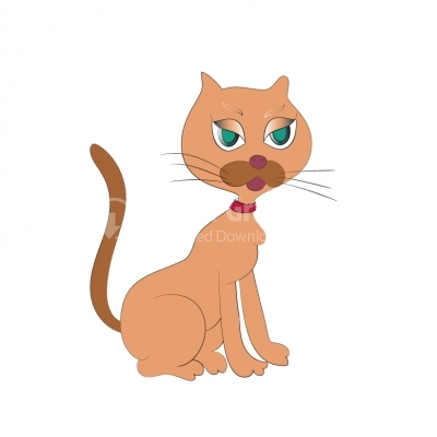 Cat - Illustration