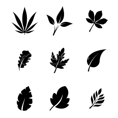 Decorative vector leaves