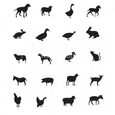 Domestic animals silhouette set
