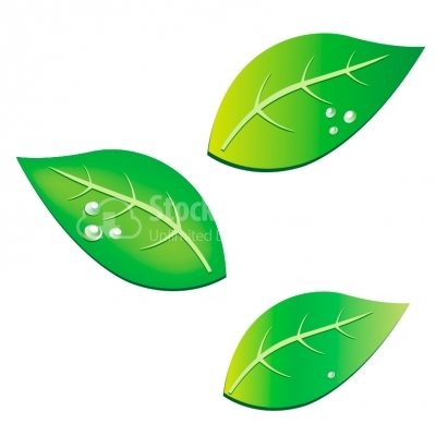 Eco leaf - Illustration