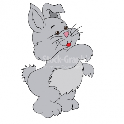 Fat Bunny - Illustration
