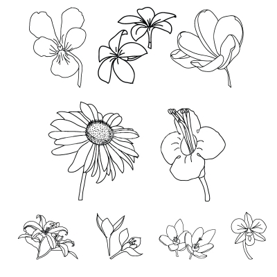 Floral ornaments in vector format
