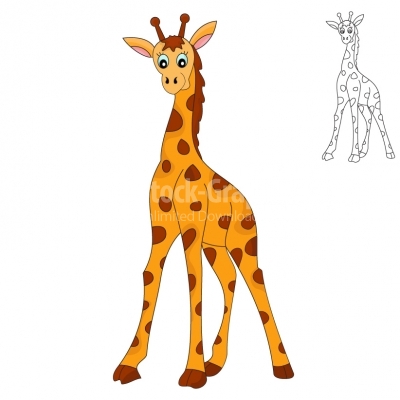 Giraffe - Illustration