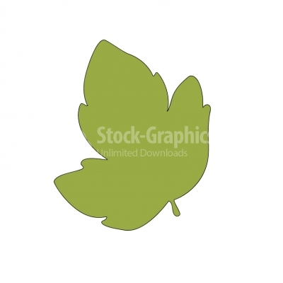Grean leaf illustration