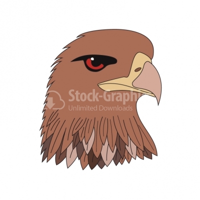 Illustrated eagle 