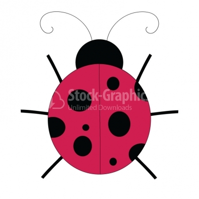 Ladybug - Illustration