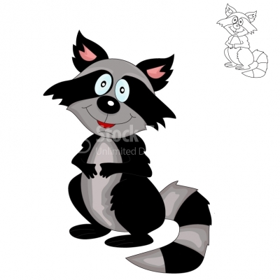 Raccoon - Illustration