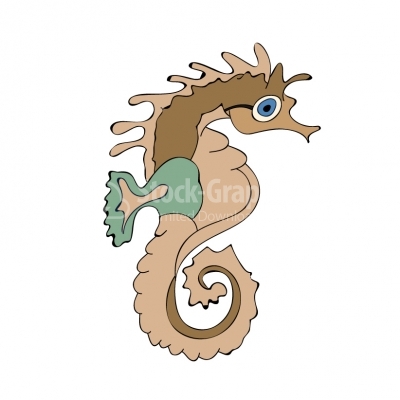 Seahorse - Illustration
