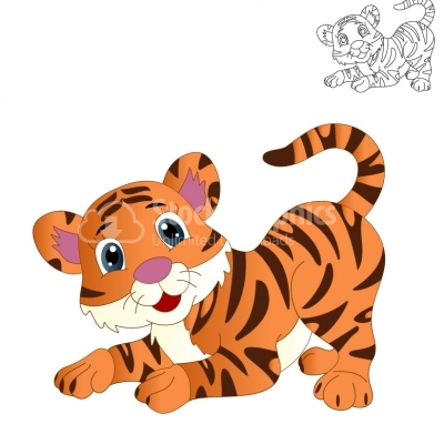 Tiger - Illustration