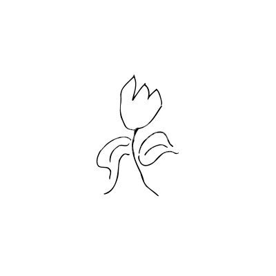 Tulip vector illustration