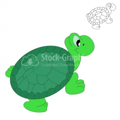 Turtle - Illustration