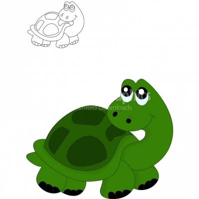 Turtle vector - Illustration