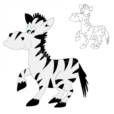 Zebra - Illustration